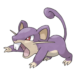 Rattata