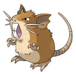 Raticate